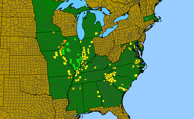 The range of Chelone obliqua